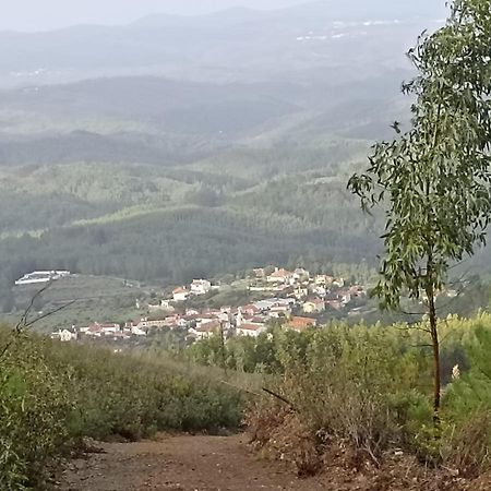 شقة Casa Xara Proença-a-Nova المظهر الخارجي الصورة